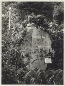 Busto do Dr. Joaquim Nunes Claro, da autoria de Pedro Anjos Teixeira, no Parque da Liberdade em Sintra.