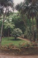 Parque de Monserrate.