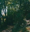 Parque da Liberdade em Sintra.