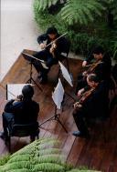 Concerto com Sine Nomine Quartet, durante o Festival de Música de Sintra, na Quinta da Regaleira.