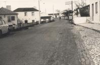 Estrada municipal 604, troço da Várzea ao Carrascal e construção de uma variante, depois do alcatroamento.