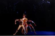 Noites de Bailado com Ballett Deutsche Oper am Rhein, nos jardins do Hotel Palácio de Seteais.