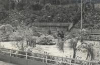 Exposição de plantas no Ringue de Patinagem do Parque da Liberdade na Vila de Sintra.