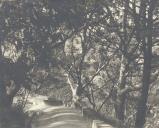 Caminho para o castelo.