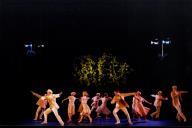 Noites de Bailado com Ballett Deutsche Oper am Rhein, nos jardins do Hotel Palácio de Seteais.