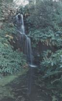 Cascata Beckford nos jardins do Palácio de Monserrate.