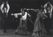 Atuação da companhia de Ballet Latido Flamenco com coreografia de Manolete.