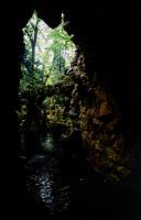 Jardins da Quinta da Regaleira no Concerto de Xuan Du / Andrei Ratnikov / Guenrik Elessin, durante o Festival de Música de Sintra.