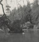 Lago de São Martinho no Parque da Pena.