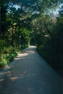 Parque da Liberdade em Sintra.