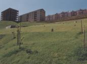 Parque Urbano do Pendão.