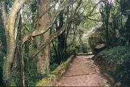 Caminho de acesso ao Castelo dos Mouros.