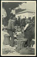 Portugal. Sintra. O vendedor de uvas