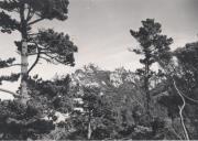 Vista parcial do Castelo dos Mouros em Sintra.