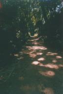 Parque da Liberdade em Sintra.