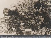 Canhão Alemão camuflado na frente do Lago Ilmen durante a II Guerra Mundial.