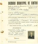Registo de matricula de carroceiro de 2 animais em nome de António da Silva Cabeça, morador em Almargem, com o nº de inscrição 1915.