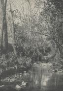 Rio Jamor na Quinta Real de Queluz.