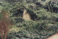 Busto de Dr. Nunes Claro no Parque de Liberdade na Vila de Sintra.