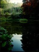 Lago no jardim da Quinta do Relógio, Sintra.