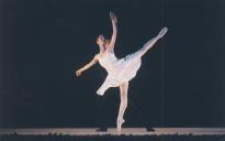 Atuação de uma companhia de ballet de Praga, Ballet Festival de Praga, nas Noites de Bailado em Seteais.