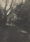 Troço da estrada Velha entre Sintra e Colares.