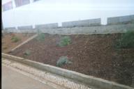 Local onde se vai realizar uma formação de jardinagem.