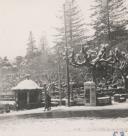 Nevão em São Pedro de Sintra.