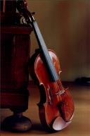 Violino