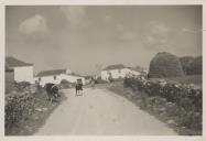 Saloia transportada por um burro junto a casais saloios.