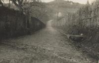 Rua da Presinha em Colares.