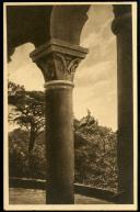 Sintra - Portugal - Parque da Pena - Estátua Desconhecida 