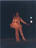 Espetáculo de Ballet nos Jardins do Palácio de Seteais aquando da receção à Comitiva de Cuba para a assinatura de protocolo de geminação de Sintra com La Habana Vieja.