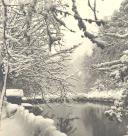 Um dos lagos do parque da Pena aquando do nevão.