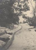 Nevão em São Pedro de Sintra.