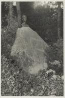 Busto do Dr. Joaquim Nunes Claro, da autoria de Pedro Anjos Teixeira, no Parque da Liberdade em Sintra.