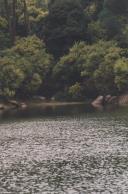 Vista parcial da Lagoa Azul na serra de Sintra.