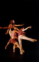 Ballett des Nationaltheather Manneihm, no Centro Cultural Olga Cadaval, durante o Festival de Música de Sintra.