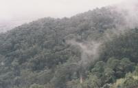 Serra de Sintra num dia de nevoeiro.