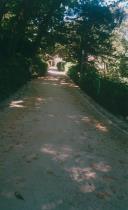 Parque da Liberdade em Sintra.