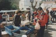 Feira de São Pedro.