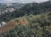 Paisagem a nordeste do Palácio da Pena com o monte sereno na serra de Sintra.