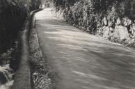 Pavimentação com tapete betuminoso da Estrada do Carvalheiro em Sintra.