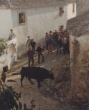 Correr o touro nas ruas do Penedo durante as Festas em Honra do Divino Espirito Santo.