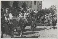 Carro de bois e burro com cestos num cortejo de oferendas no Largo Rainha Dona Amélia em frente ao Palácio Nacional de Sintra.