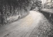 Troço da estrada entre a Quinta do Relógio e a Quinta dos Castanhais em Sintra, antes das obras de reparação.