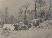 Nevão na Serra de Sintra.