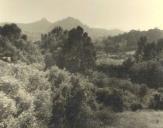 Vista geral da serra de Sintra com o palácio Nacional da Pena.