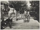 Um coche e um rebanho de cabras a passar na Rua Dr. Alfredo Costa, em Sintra.