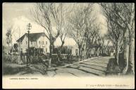 Avenida Maria Pia - Cintra